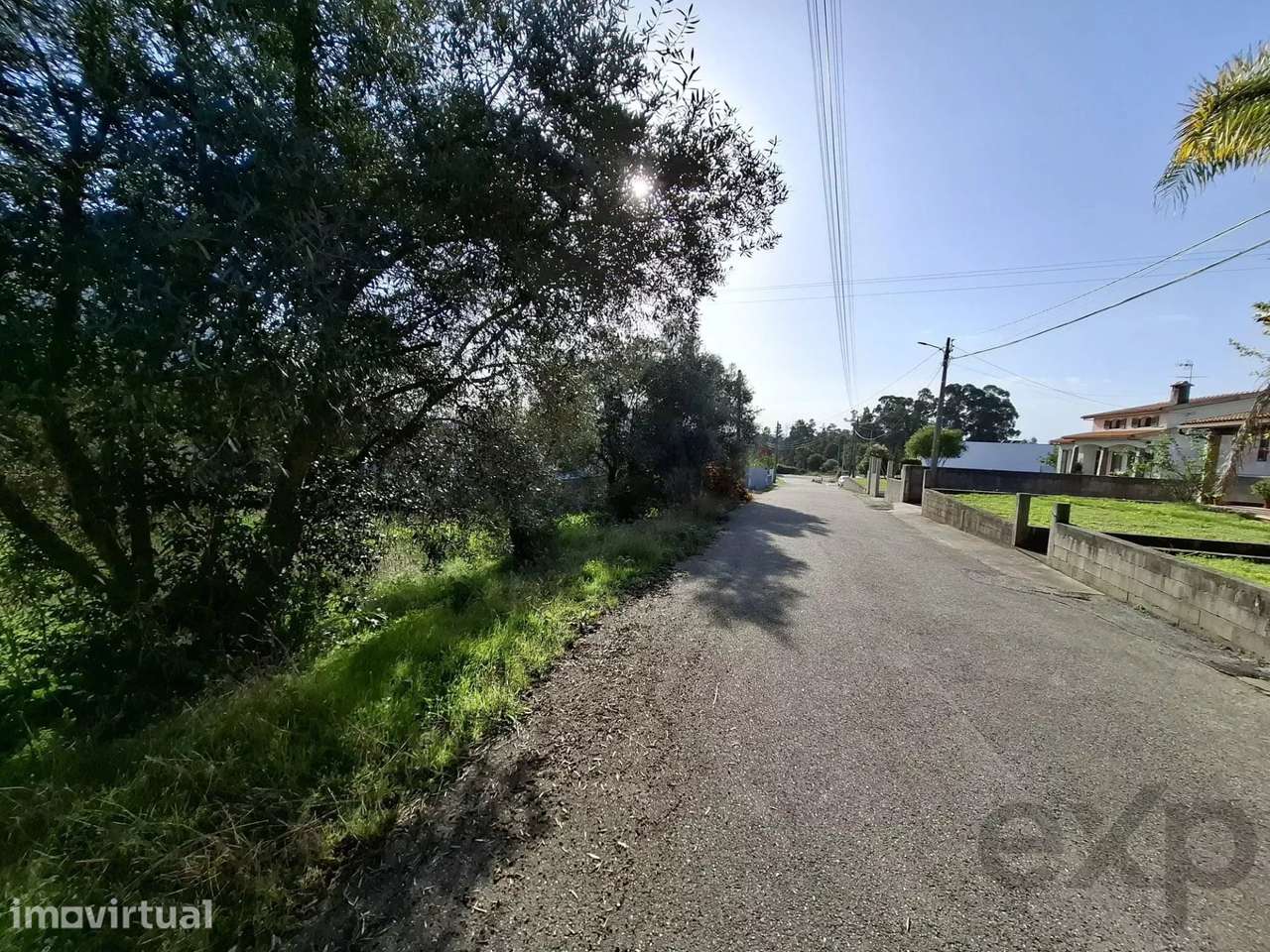 Terreno Urbanizável em Sangalhos | 1.600m² | Frente de 22m - Grande imagem: 5/9