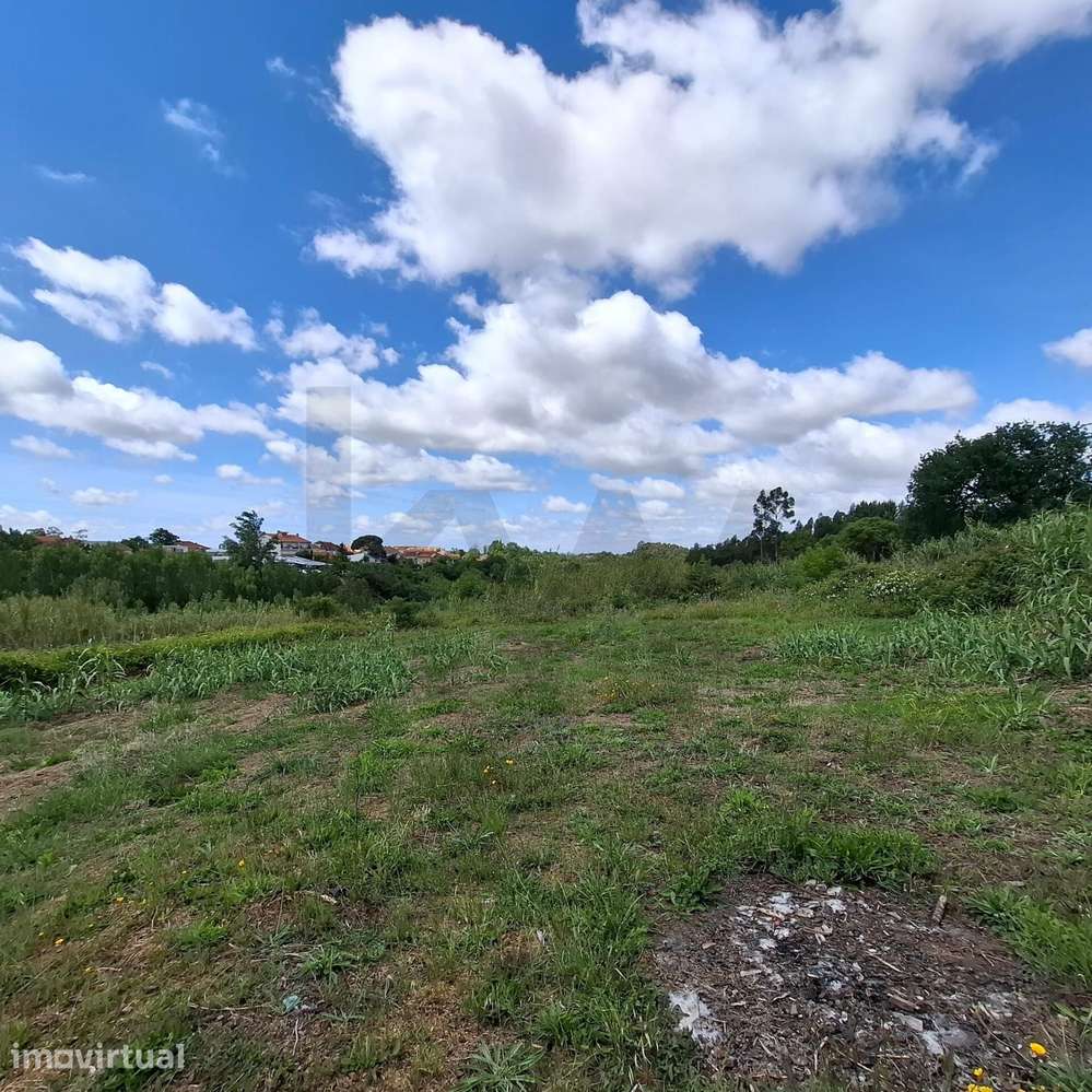 Quinta do Formigal: 2 Hectares com Potencial Turístico e Agrícola em S - Grande imagem: 5/13
