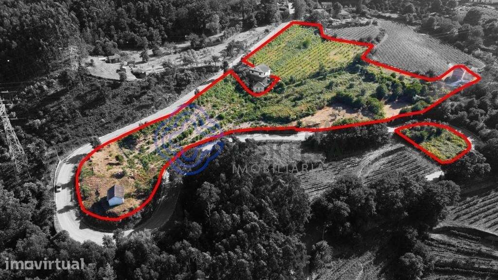 Quinta ao Rio Douro - Grande imagem: 2/21