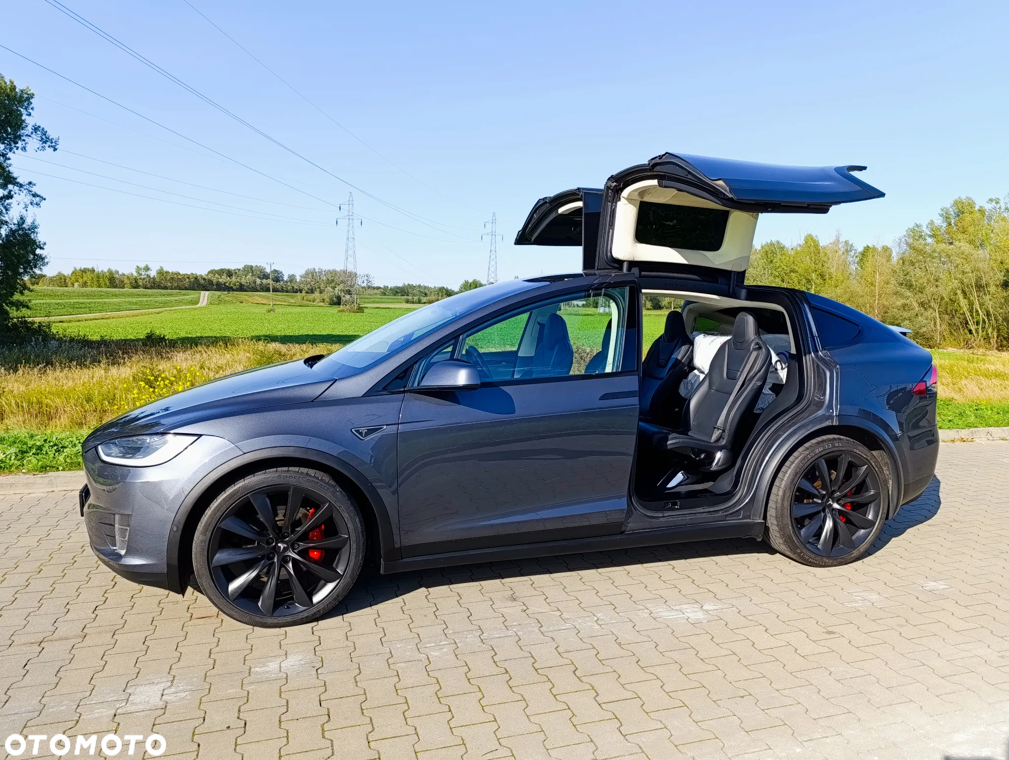 Tesla Model X Performance - 22