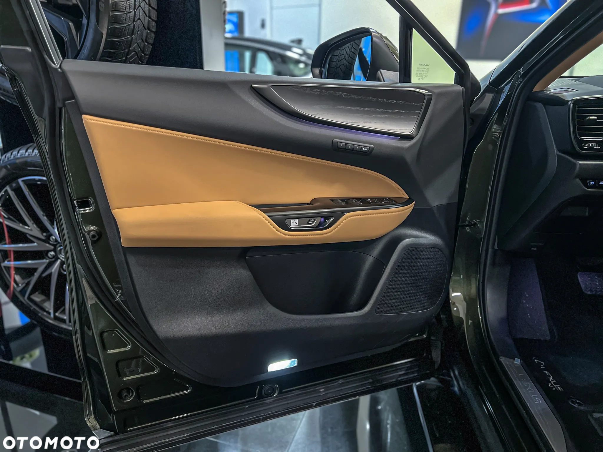Lexus NX - 19