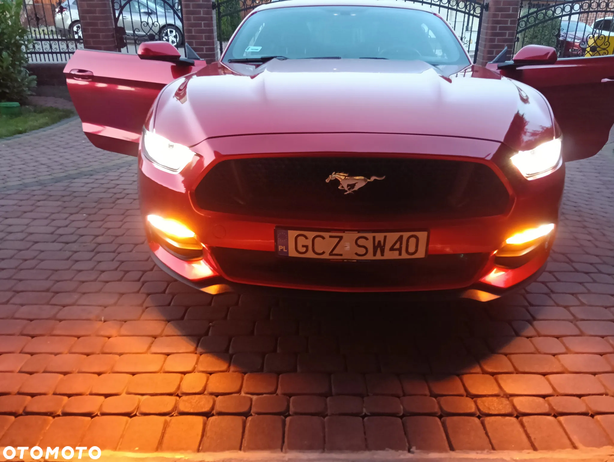 Ford Mustang - 17