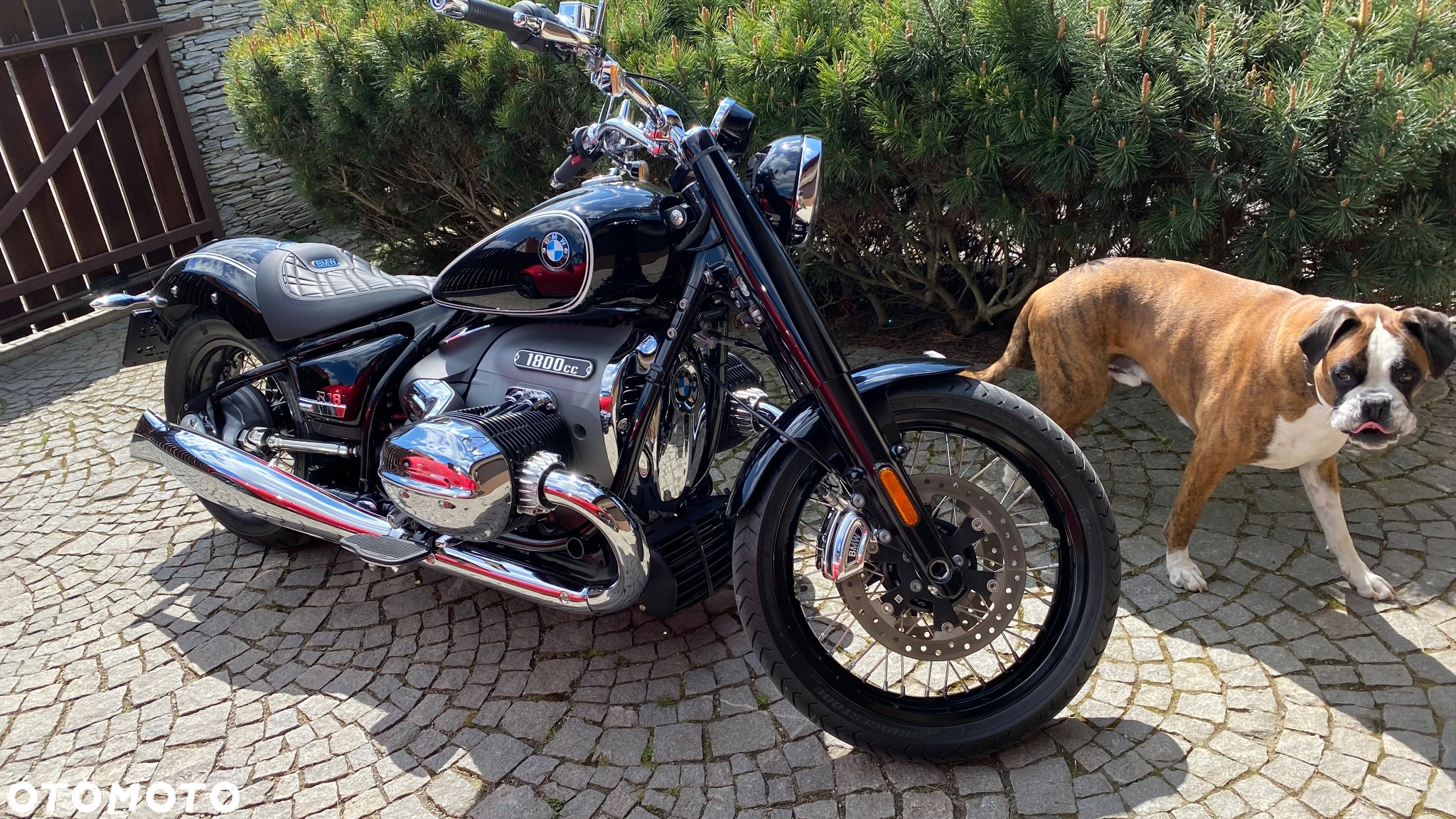 BMW R - 6