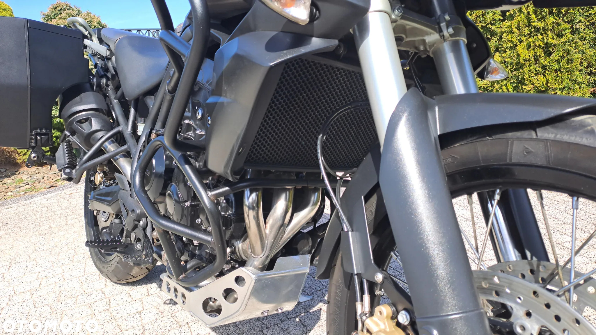 Triumph Tiger - 16