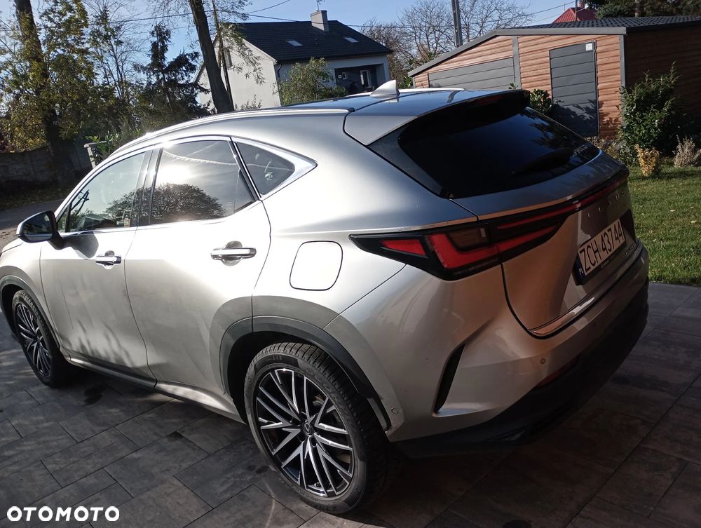 Lexus NX - 10