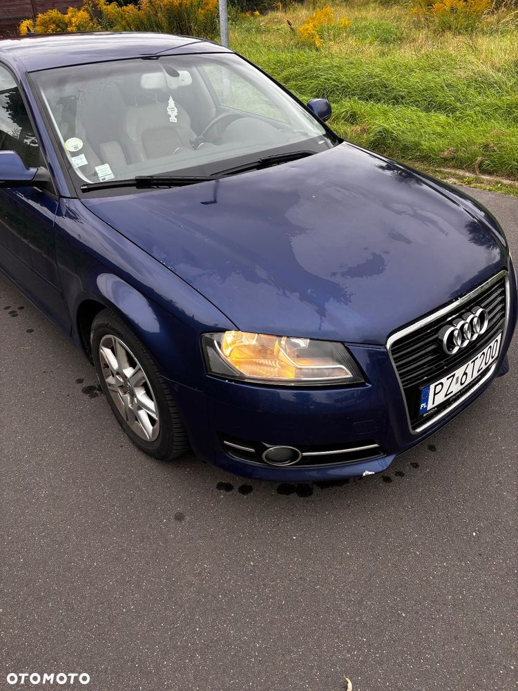 Audi A3 2.0 TDI DPF (DSG) S tronic Ambiente - 5