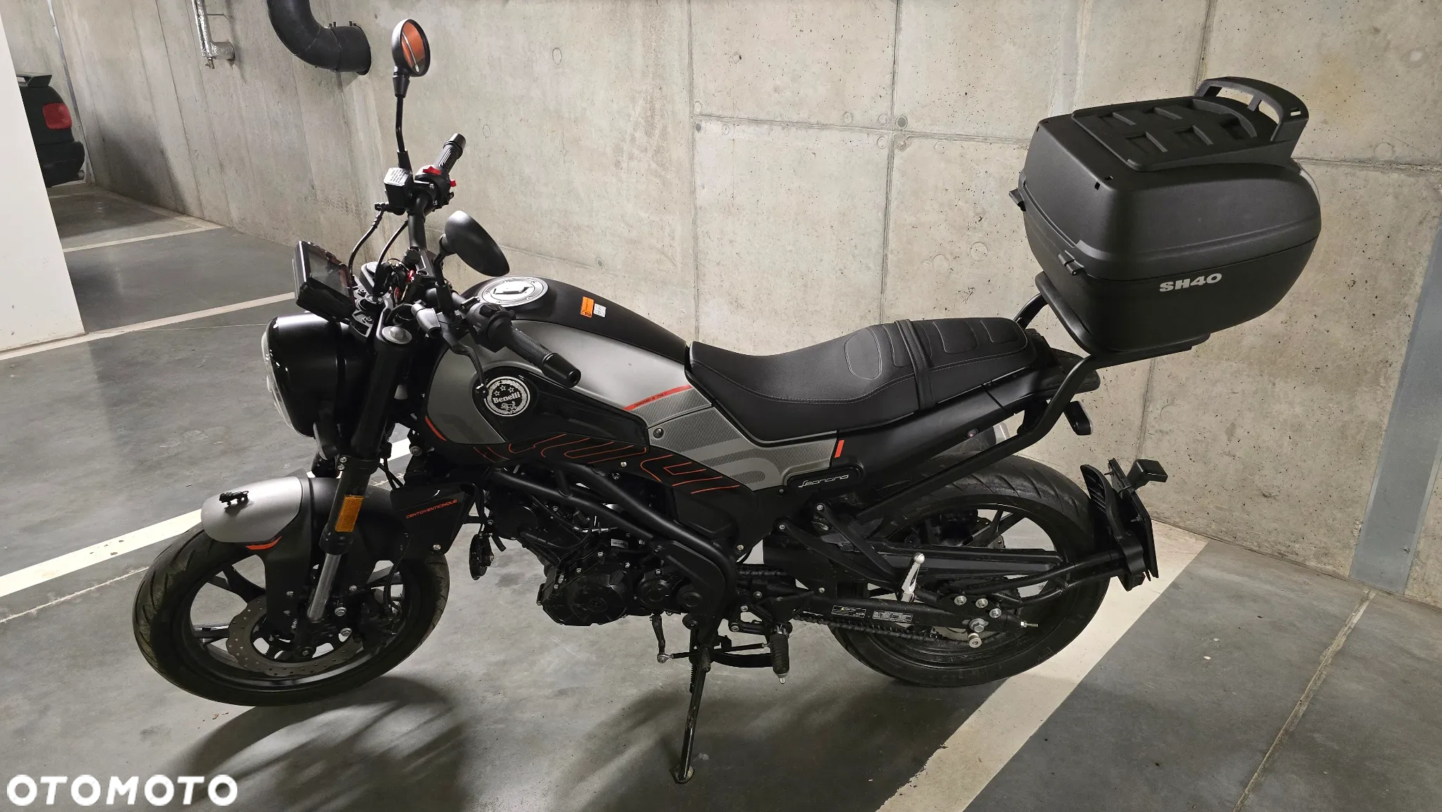 Benelli Leoncino - 2