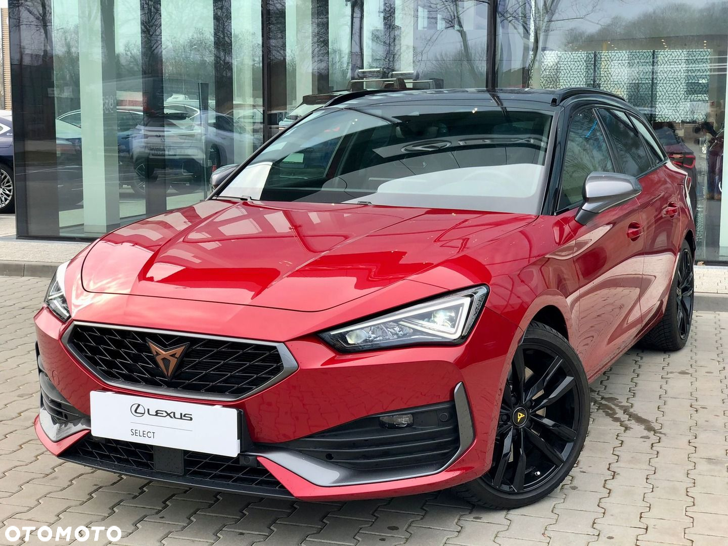 Cupra Leon 2.0 TSI VZ DSG - 11
