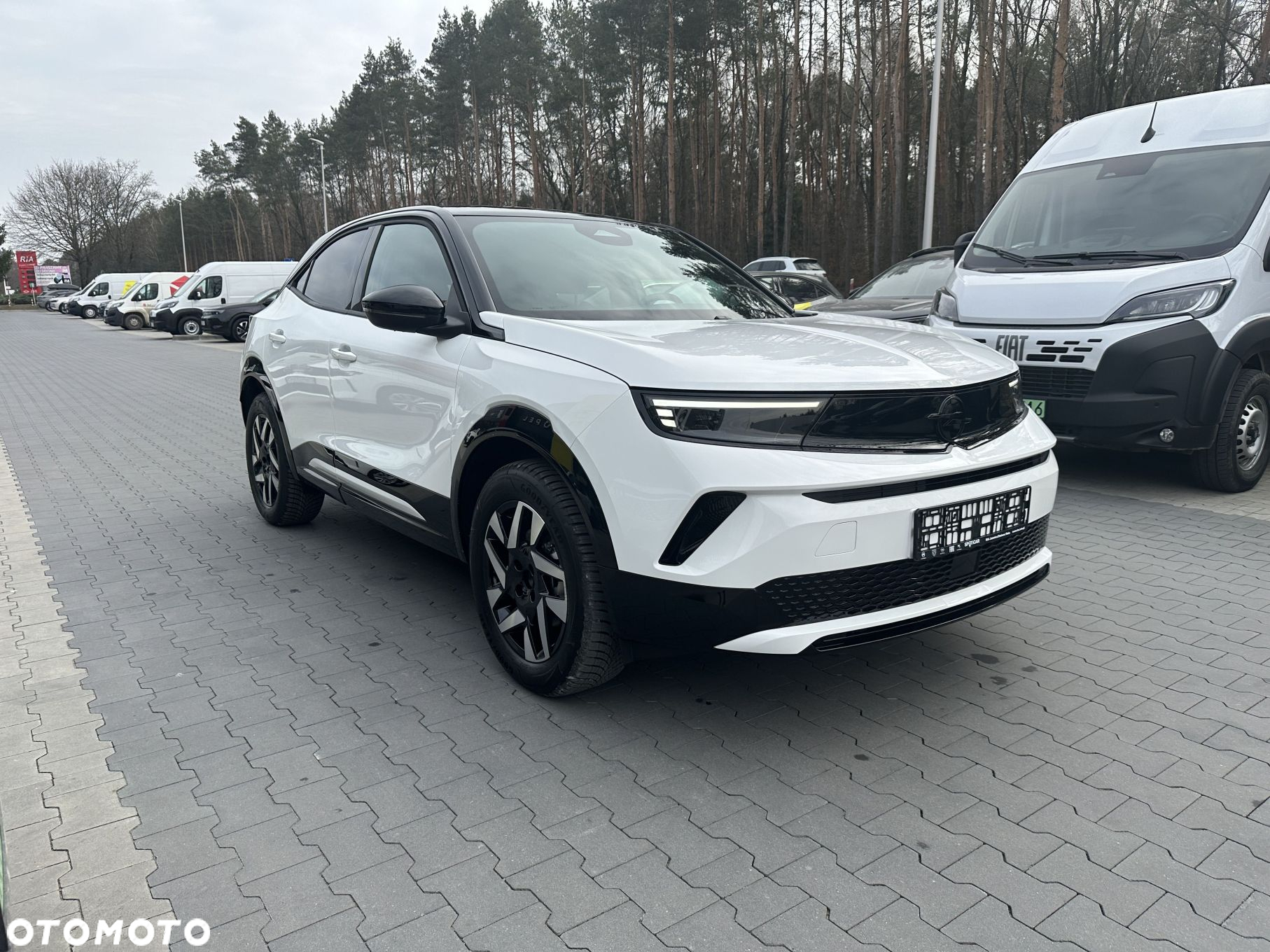 Opel Mokka Mokka-e 54kWh GS - 4