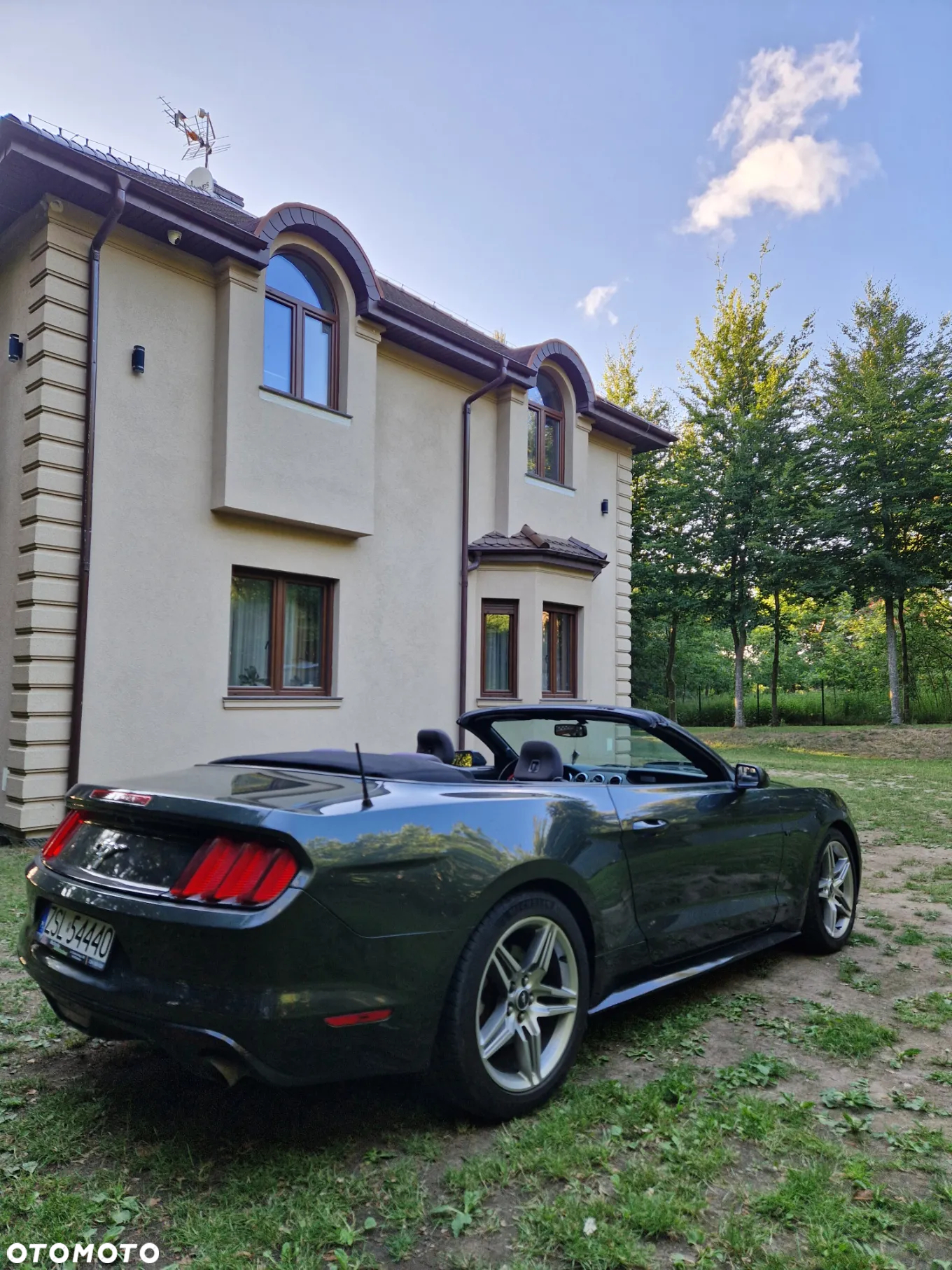 Ford Mustang 3.7 V6 - 5