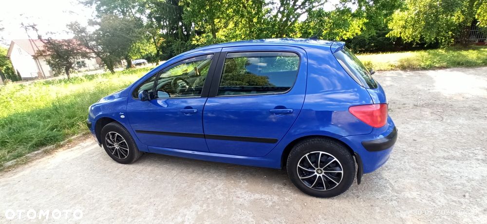 Peugeot 307 1.4 XR - 9