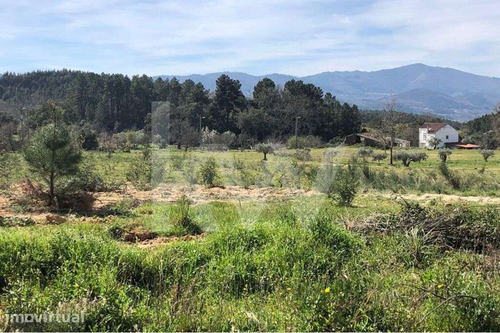 Terreno de 19.000 m2 com Projeto Aprovado 304 m2 - Grande imagem: 2/12