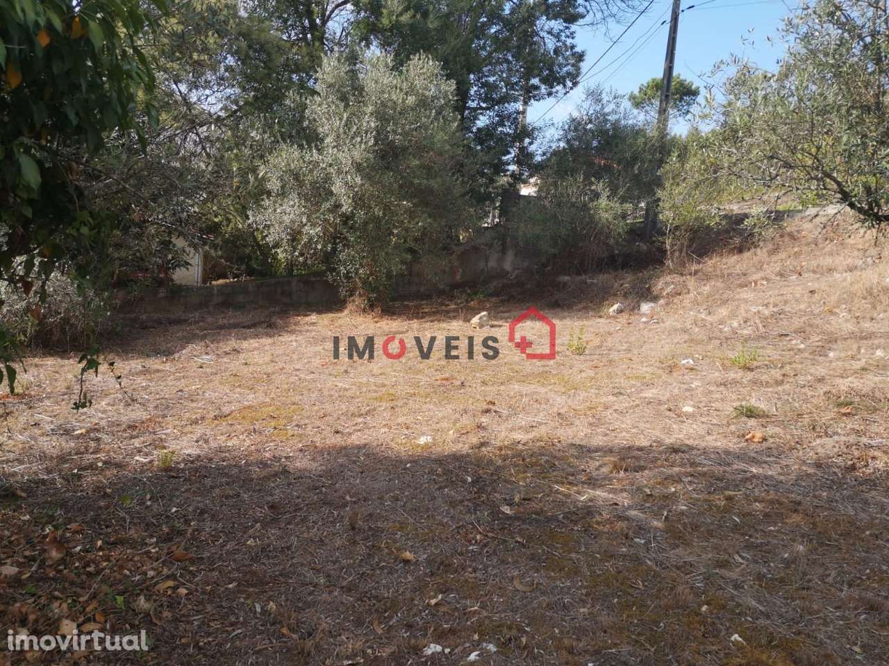 Terreno | Construção| Chainça - Grande imagem: 5/11