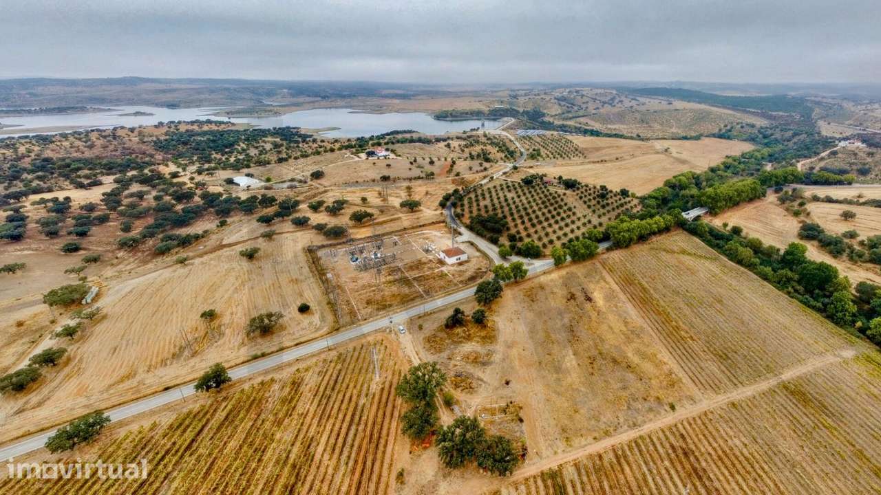 Herdade dos Barros em Terena: Terreno com 9,1 ha, Vinha Ativa e Viabil - Grande imagem: 3/15