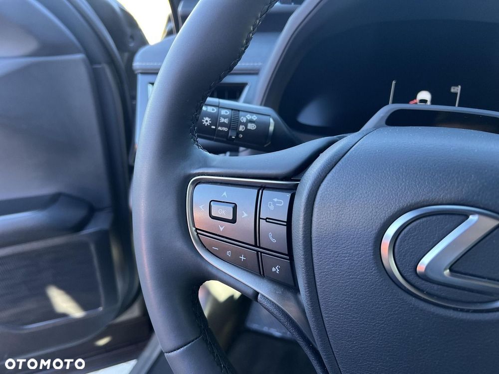 Lexus UX 300h F Sport Design - 13