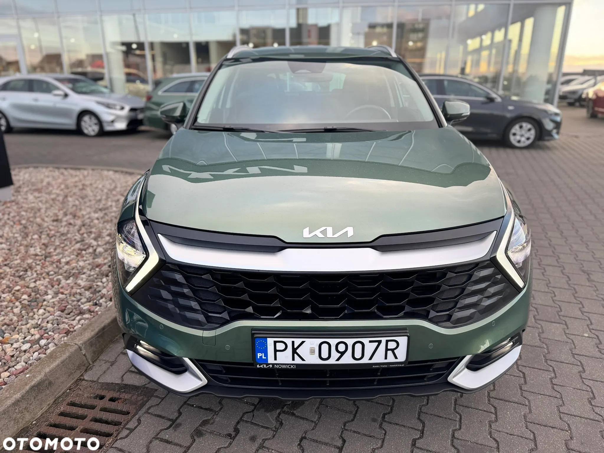 Kia Sportage 1.6 T-GDI MHEV L 2WD DCT - 8