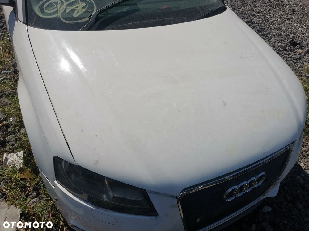 Części Audi A3 8P Lift LAk. LY9C 1.9 TDI BLS - 28