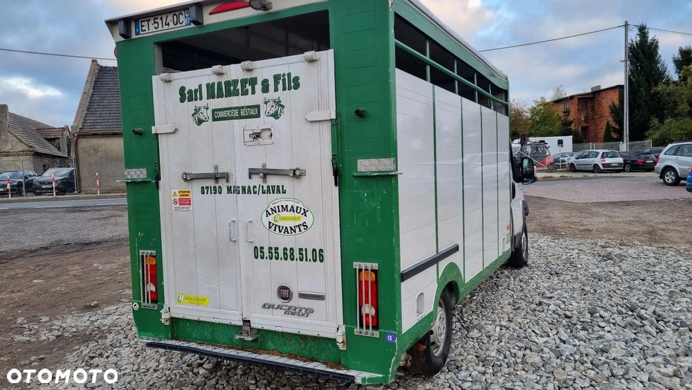 Fiat Ducato - 17