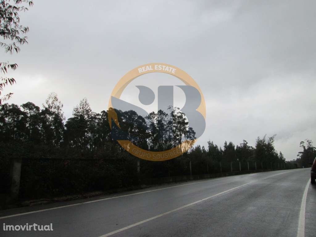 Terreno Vale de Cambra - Grande imagem: 3/4