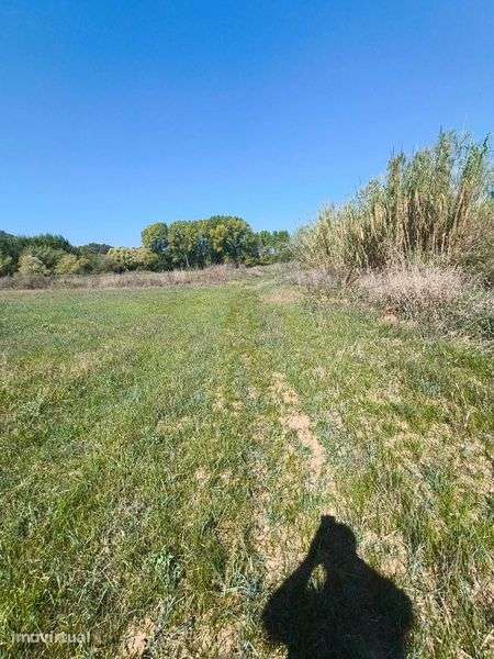 Dois terrenos para venda - Grande imagem: 5/7