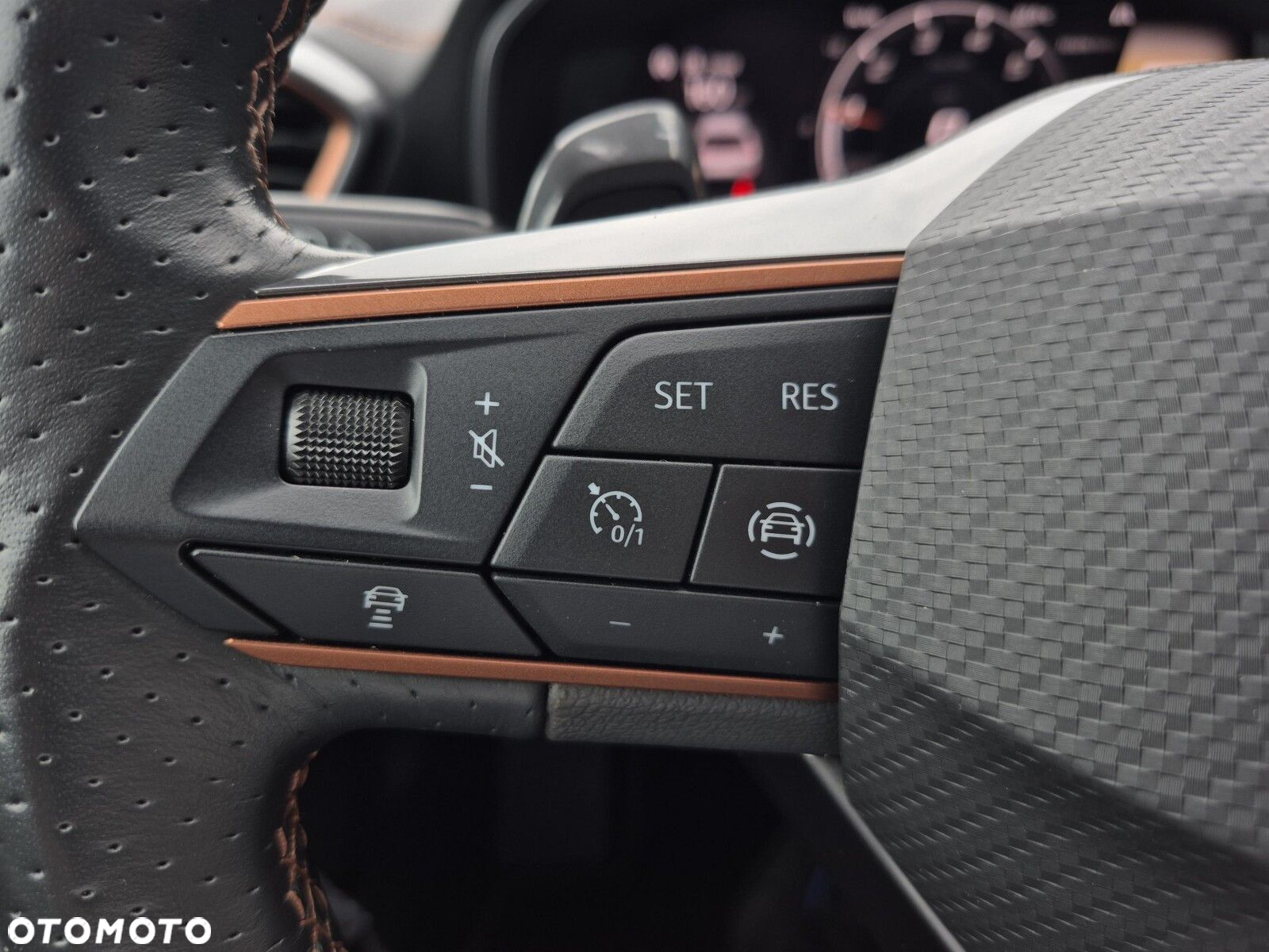 Cupra Formentor 1.5 TSI DSG - 27