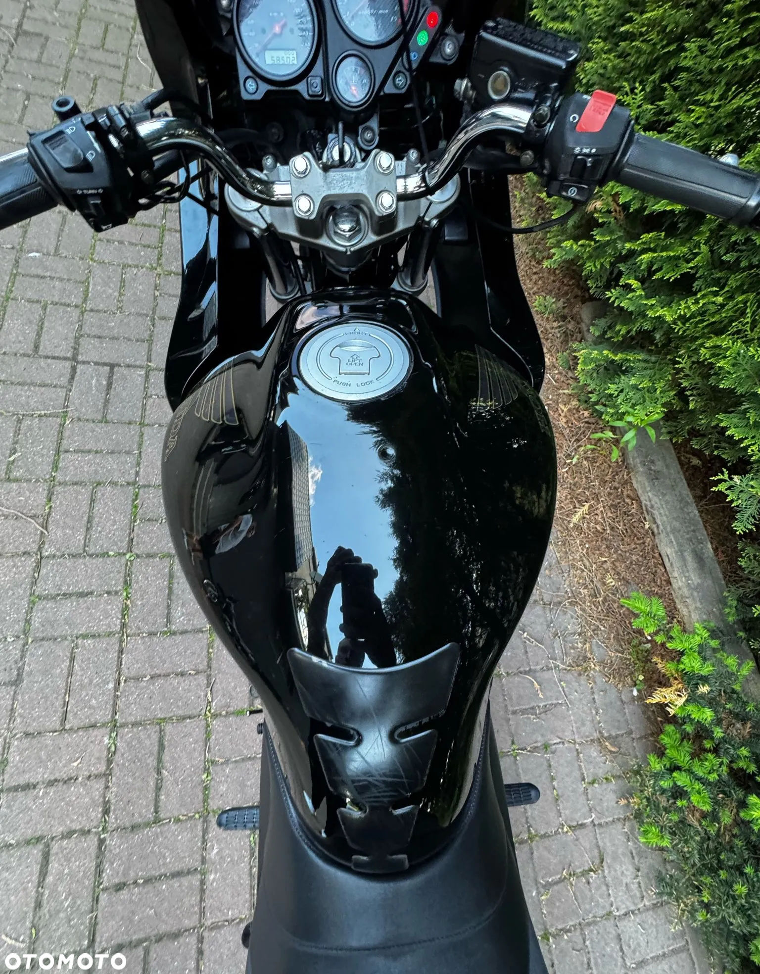 Honda Hornet - 12