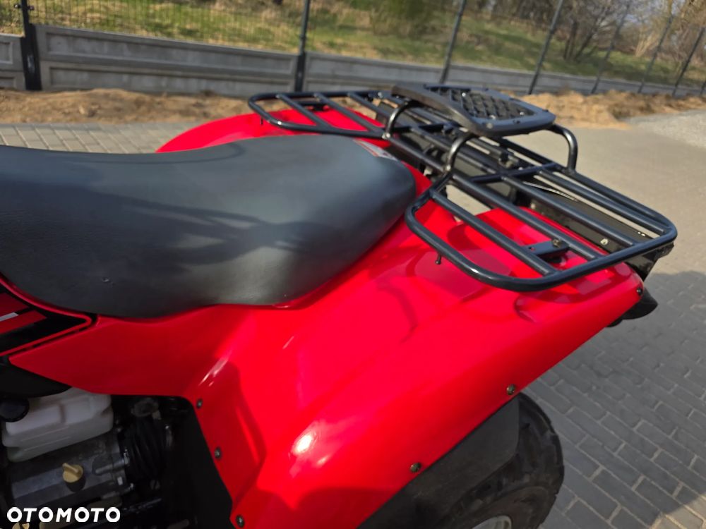 Kawasaki Brute Force - 6