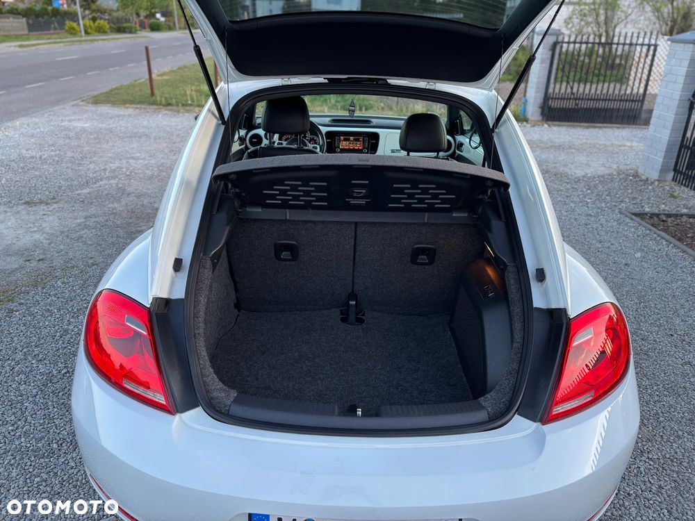 Volkswagen Beetle - 21