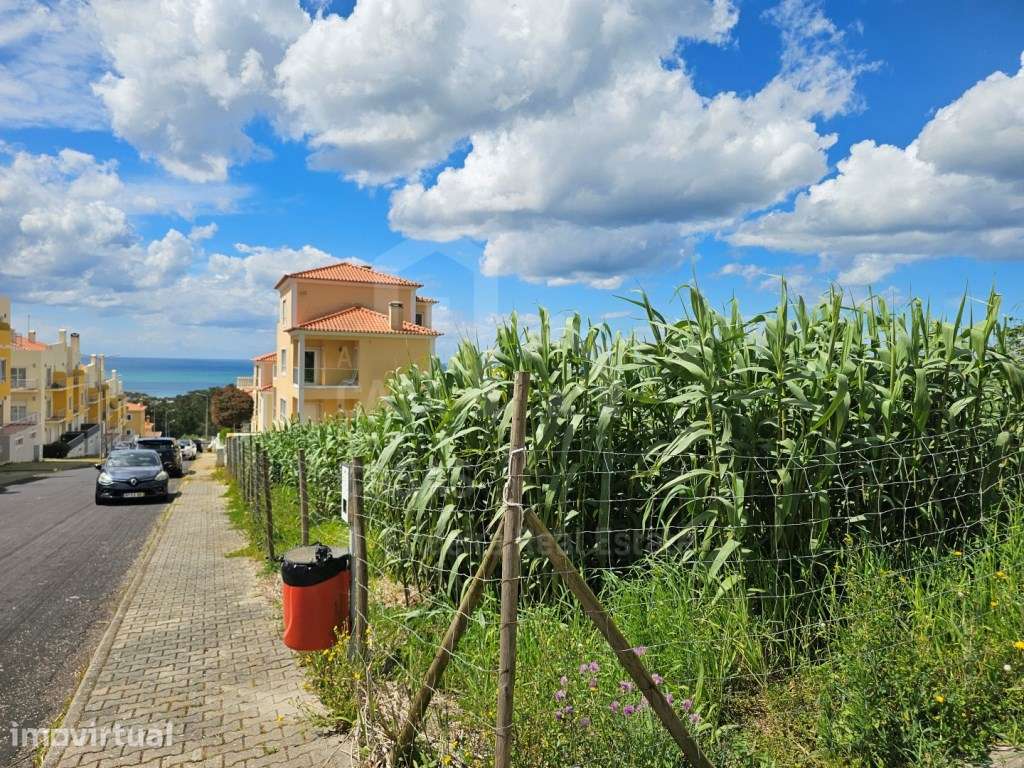 Vende Lote - Ericeira 1 km, A Casa das Casas - Grande imagem: 3/15