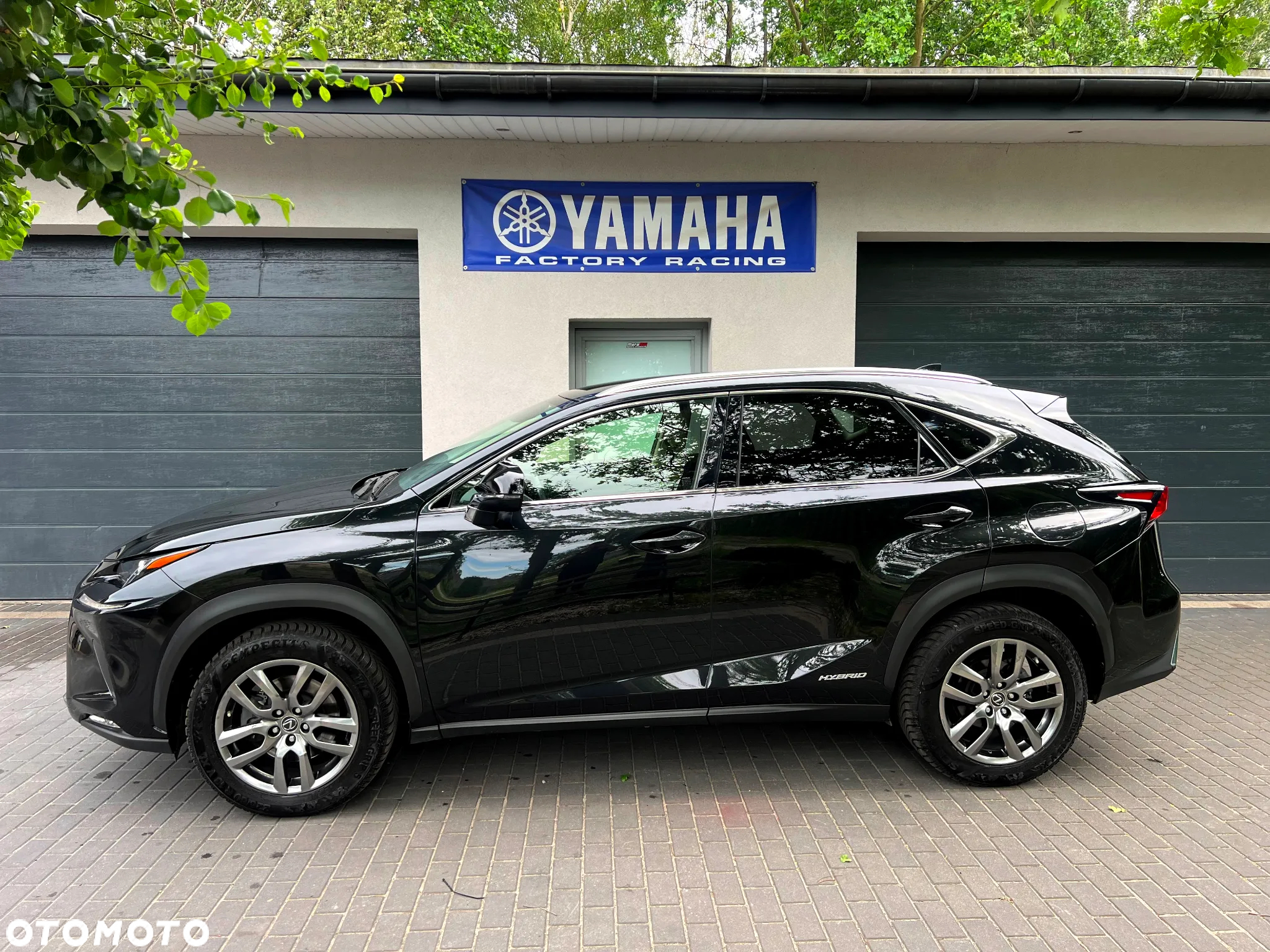 Lexus NX 300h Prestige AWD - 2