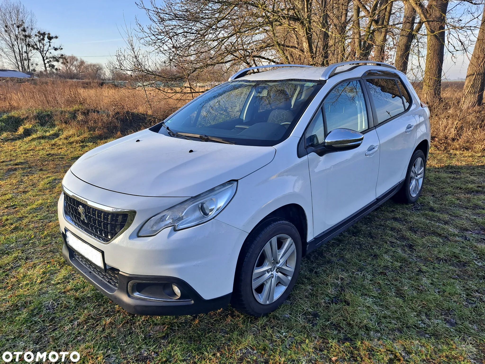 Peugeot 2008 1.2 Pure Tech Style EU6 - 1