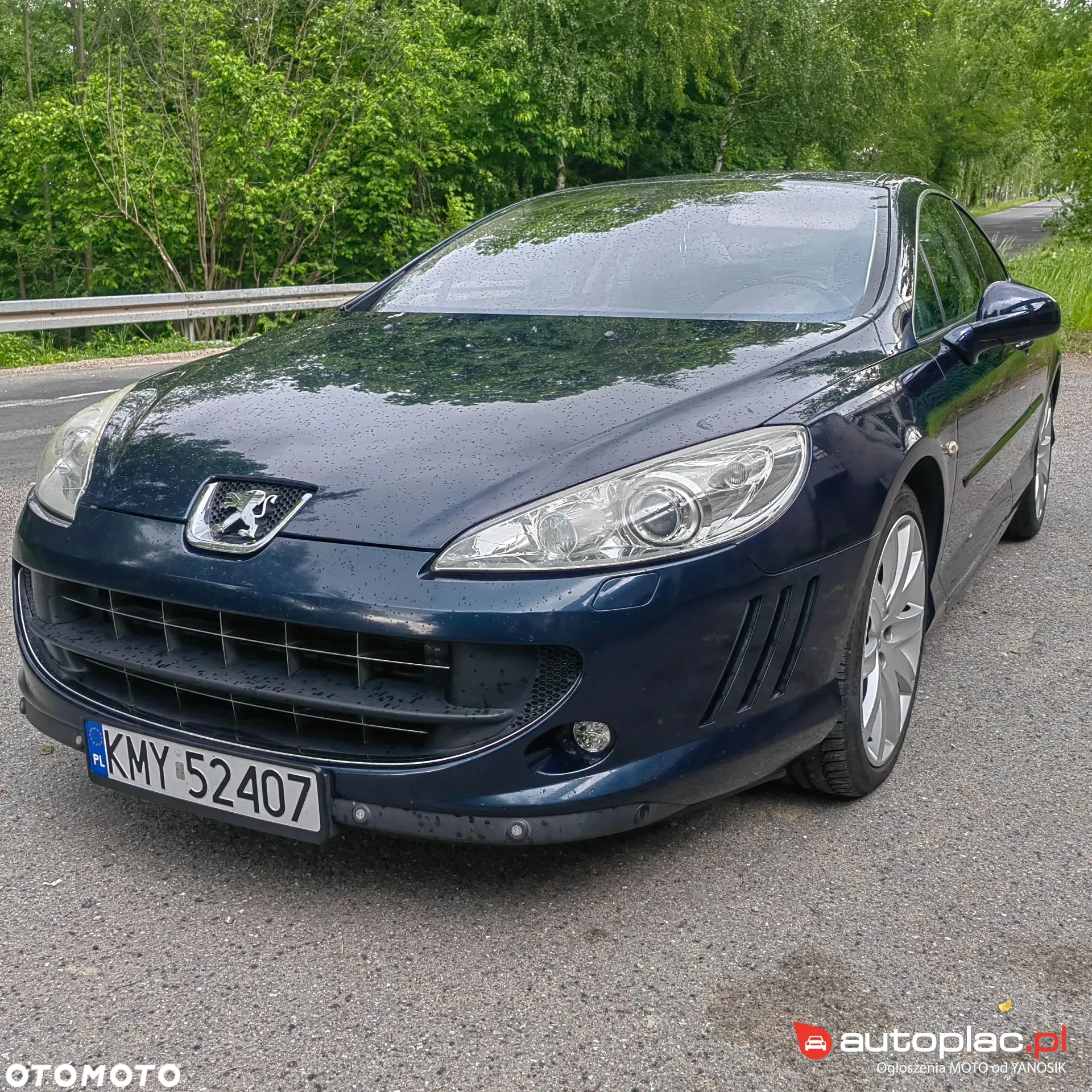 Peugeot 407 - 15