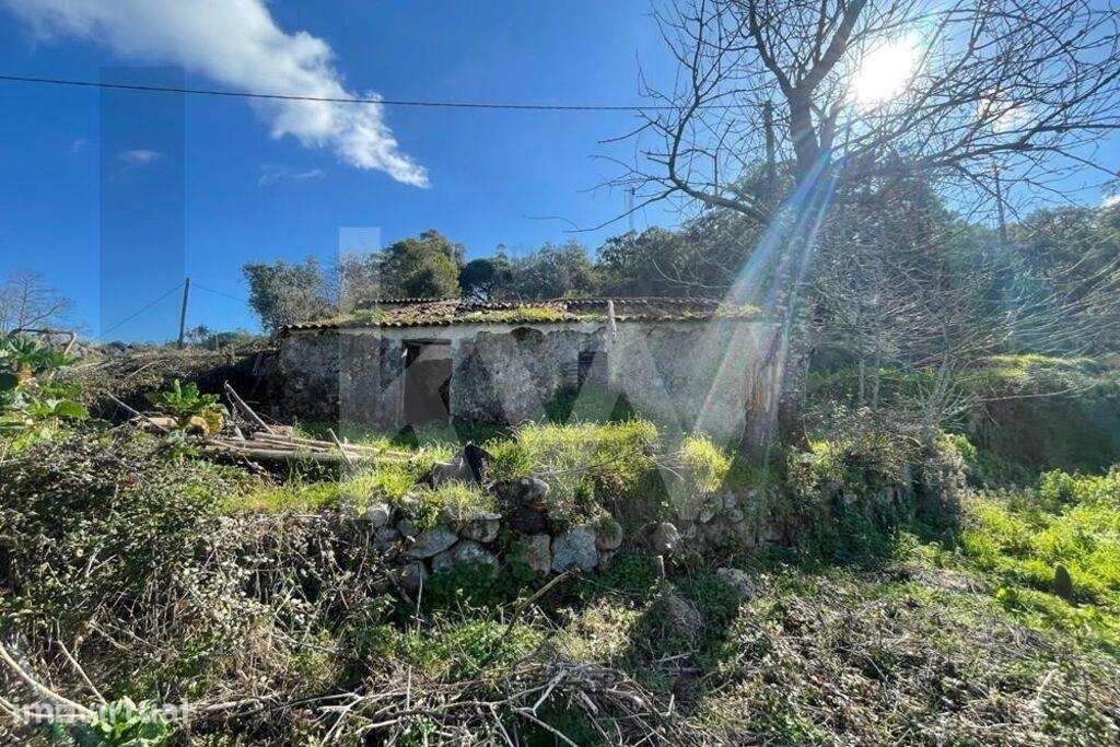 Monchique | Ruína com terreno de 5.380 m2, socalcos em pedra e minas d - Grande imagem: 3/22