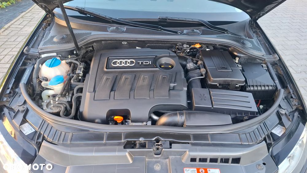 Audi A3 Sportback 1.6 TDI DPF Ambition - 13