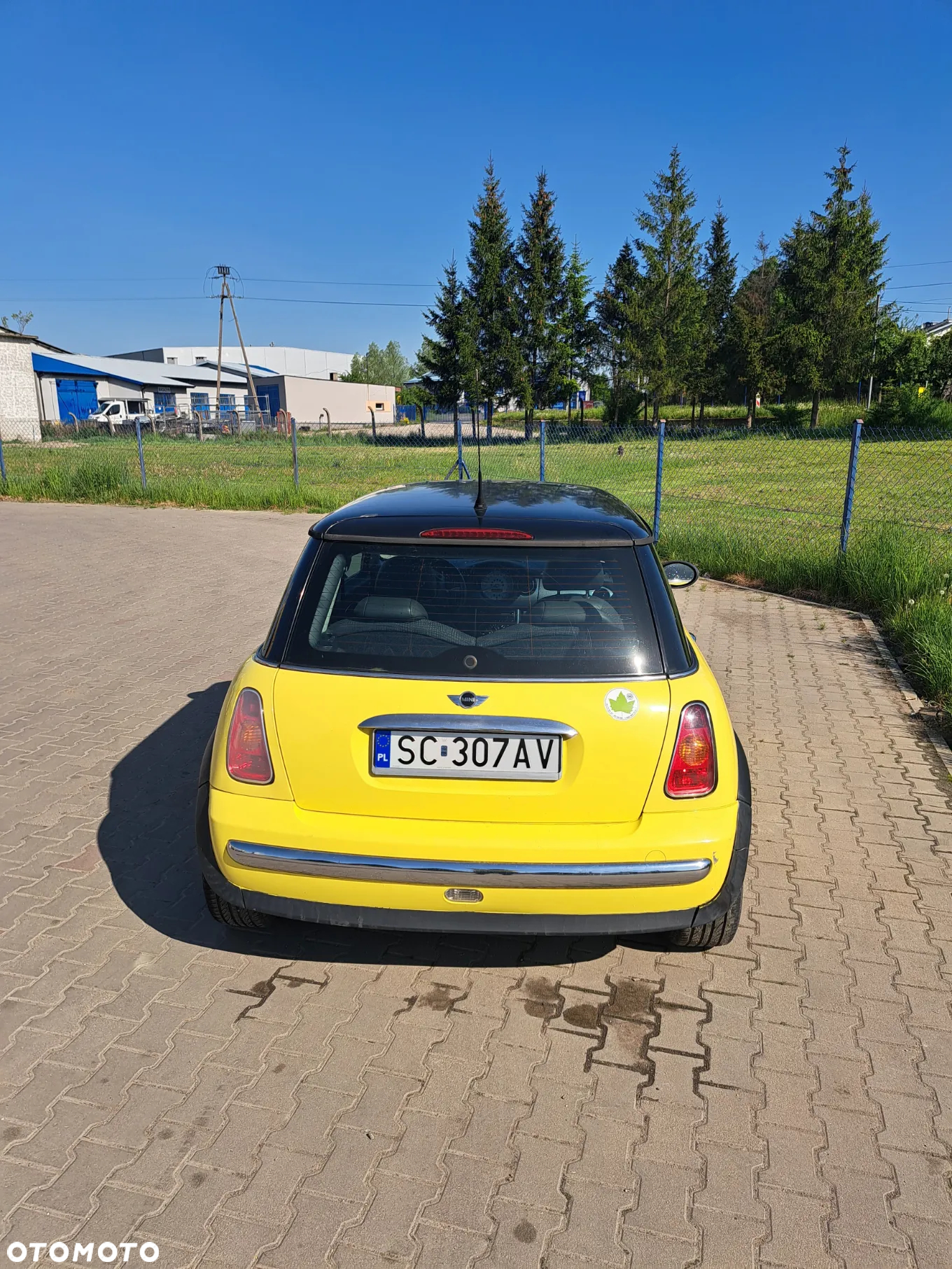 MINI ONE D salt - 5