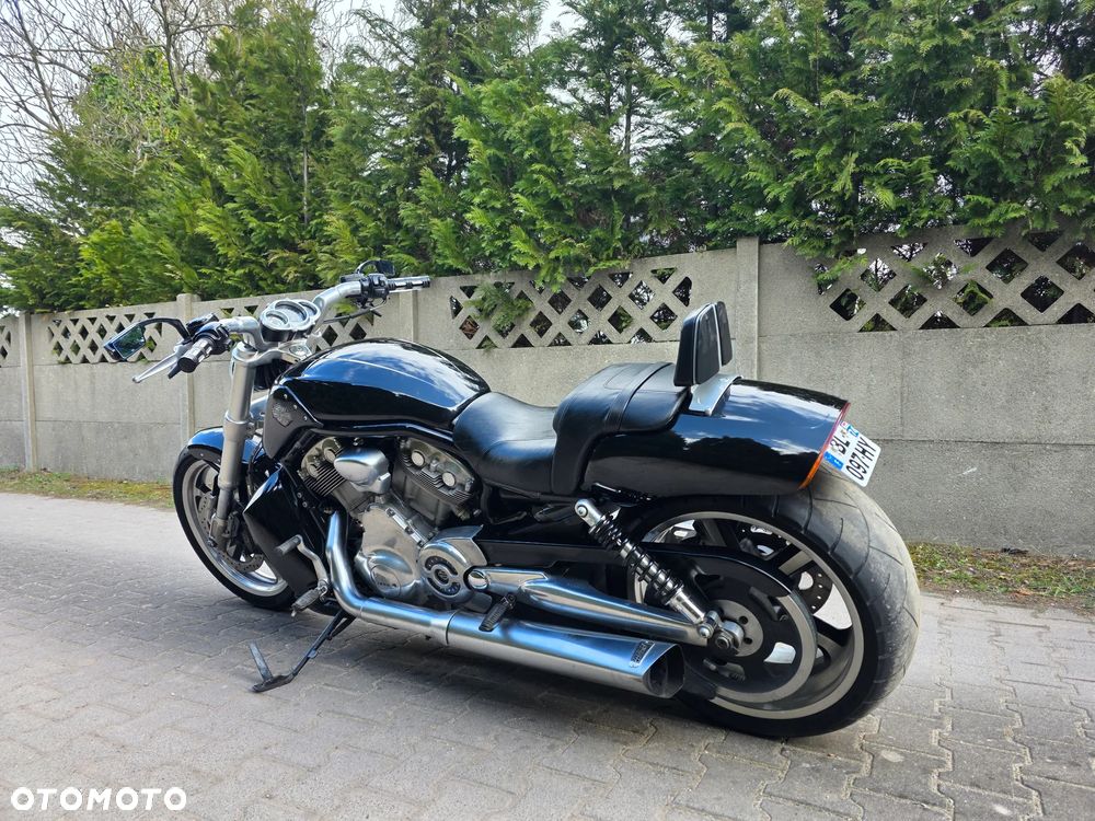 Harley-Davidson V-Rod Muscle - 6