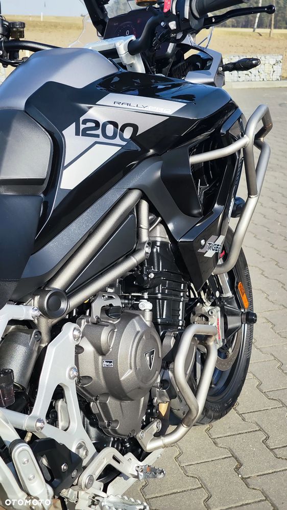 Triumph Tiger - 24