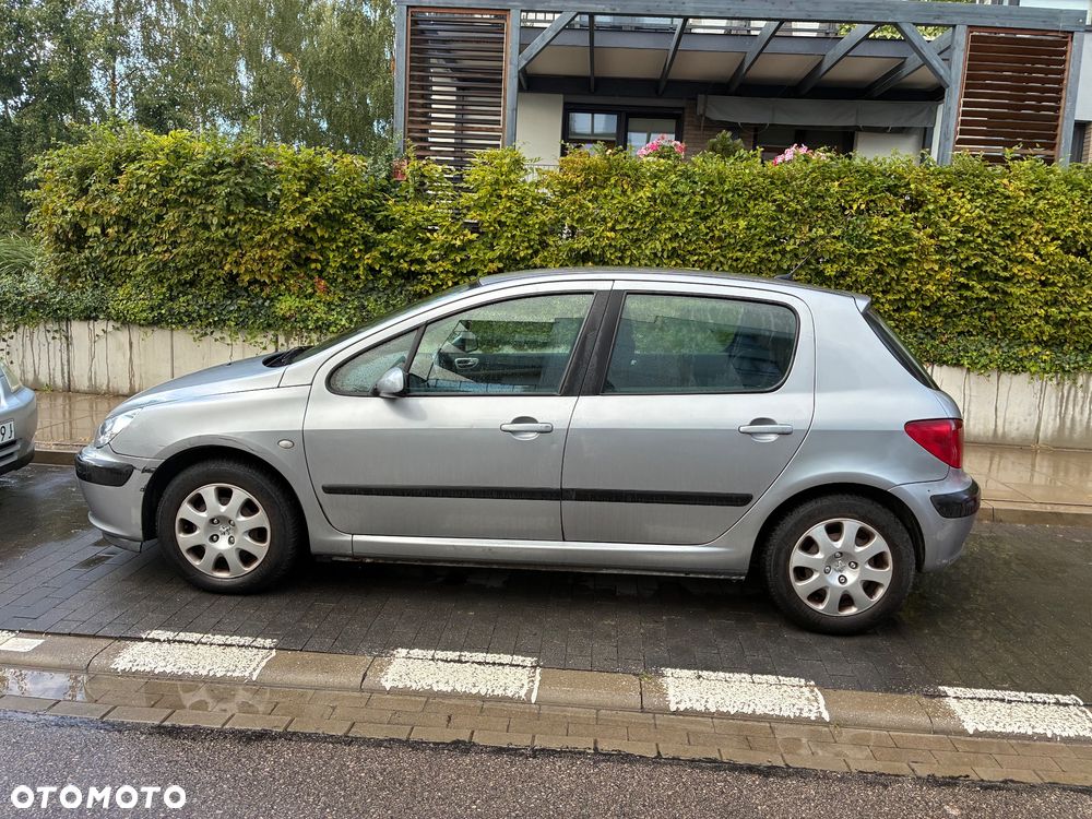 Peugeot 307 1.6 - 9