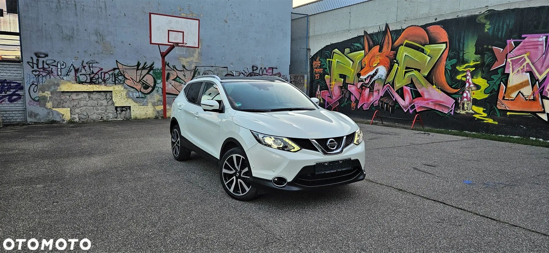 Nissan Qashqai 1.6 dCi 4x4 Tekna - 1