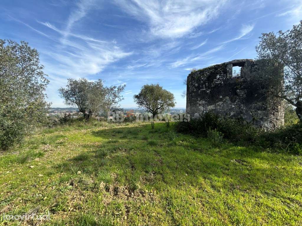 Terreno c/ PDM urbano e Moinho para recuperar - Pimenteiras, Torres... - Grande imagem: 2/32