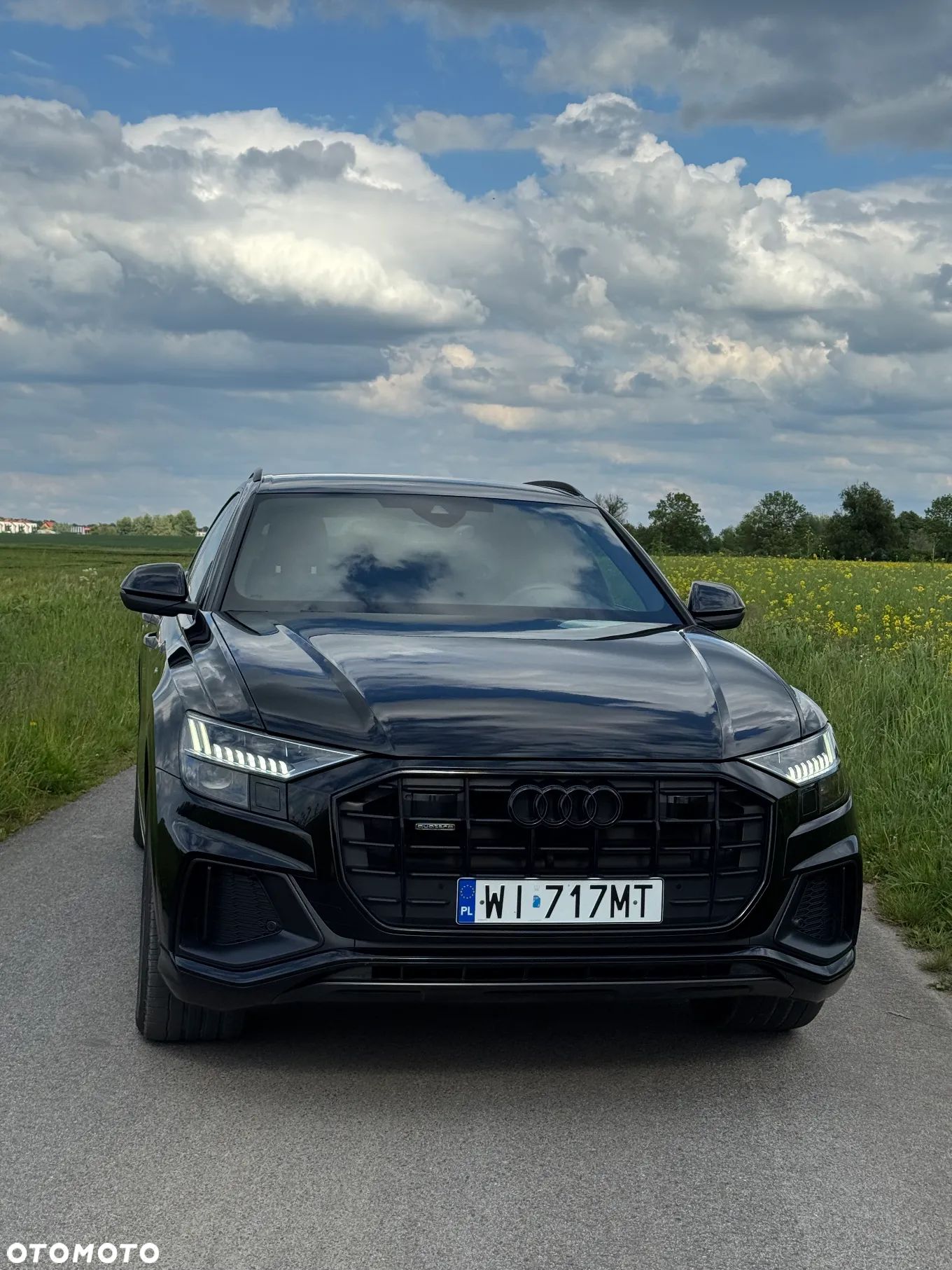 Audi Q8 - 1