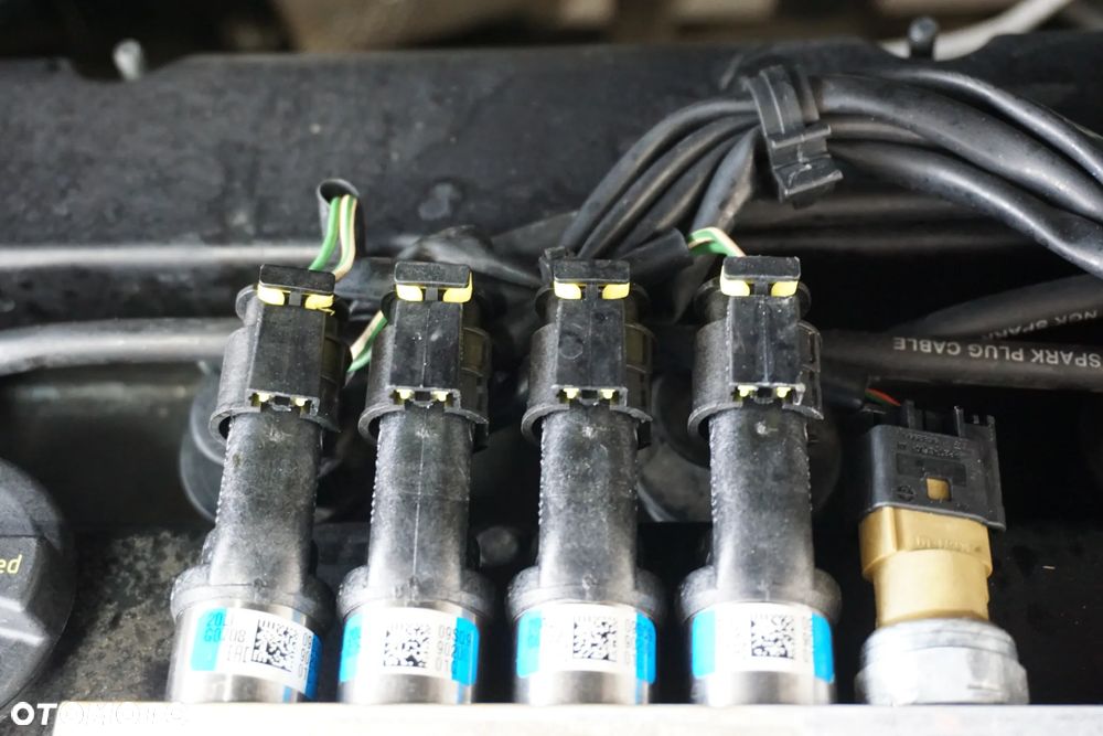 Ford Fiesta 1.4 Champions Edition - 16