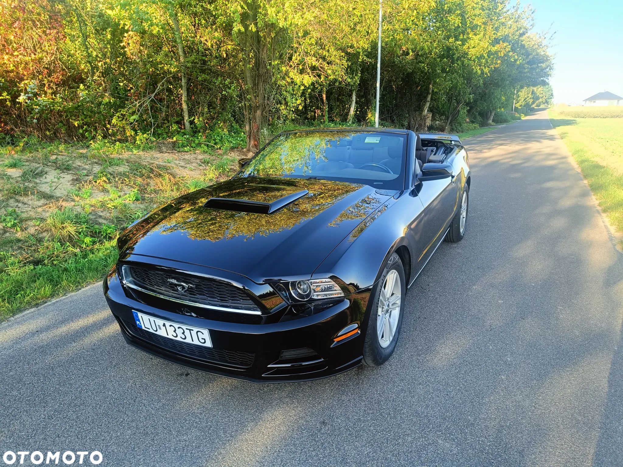 Ford Mustang 3.7 V6 - 1