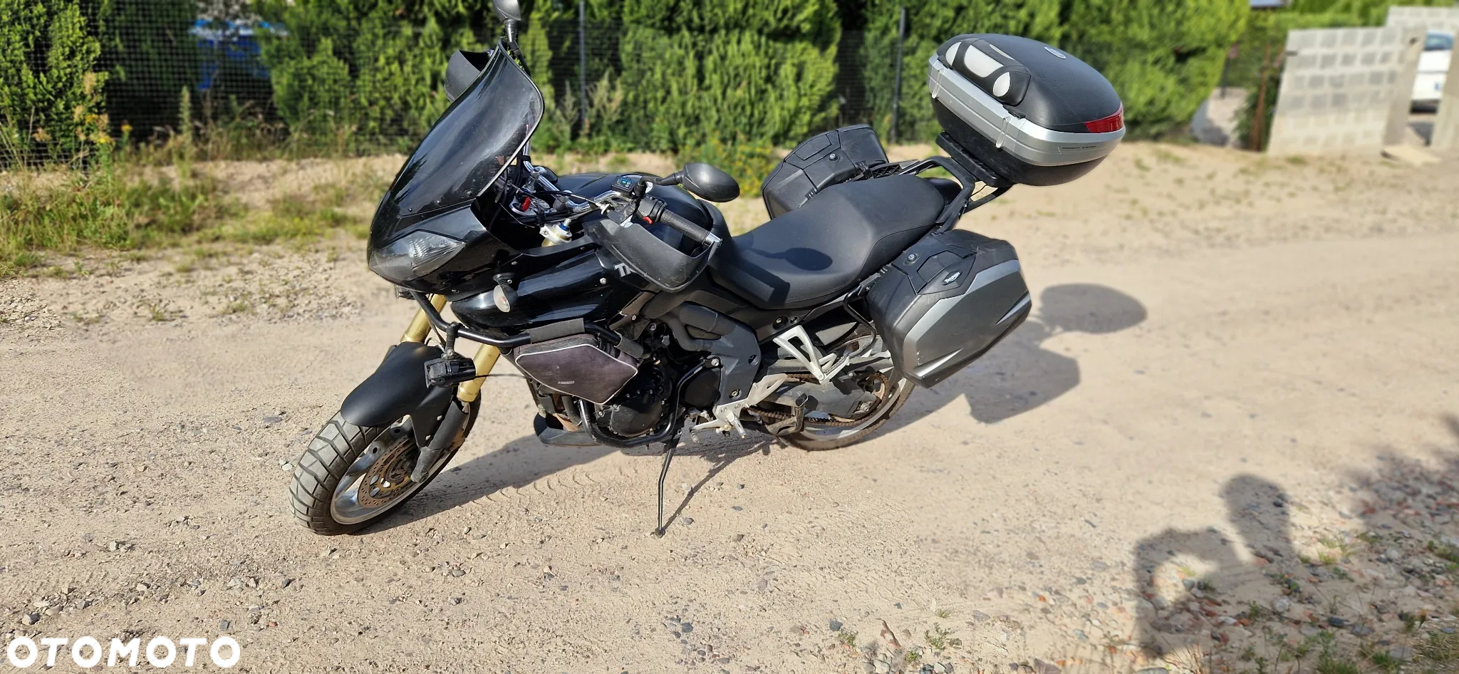 Triumph Tiger - 6