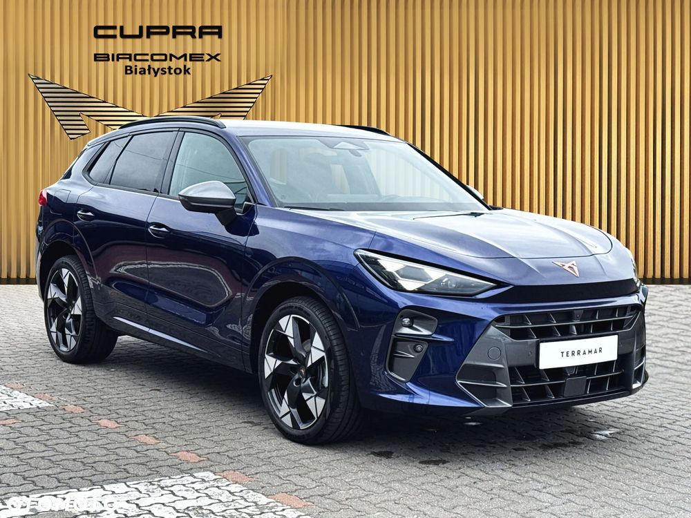 Cupra Terramar 1.5 eTSI mHEV Advantage Edition DSG - 8