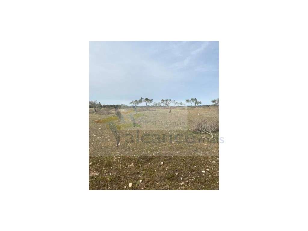 Terreno Agrícola com 5,775 hectares para venda em Vila Nova de São ... - Grande imagem: 3/13