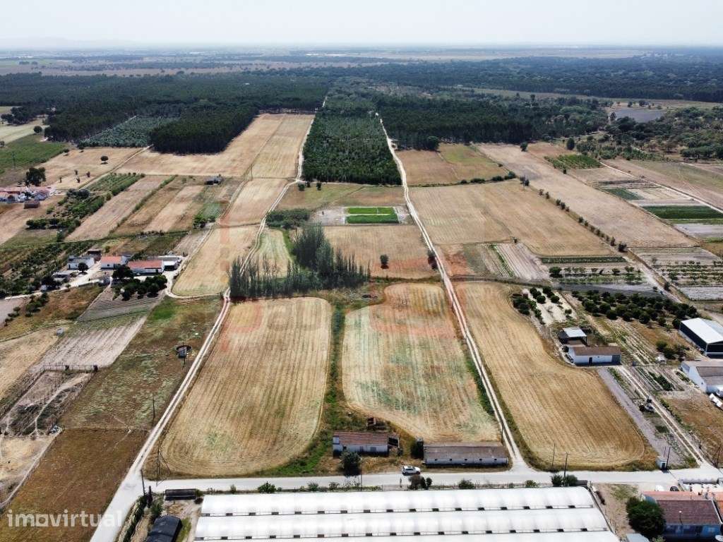 TERRENO DE 9HA COM VIABILIDADE PARA 16 FOGOS - TAIPADAS - Grande imagem: 2/6