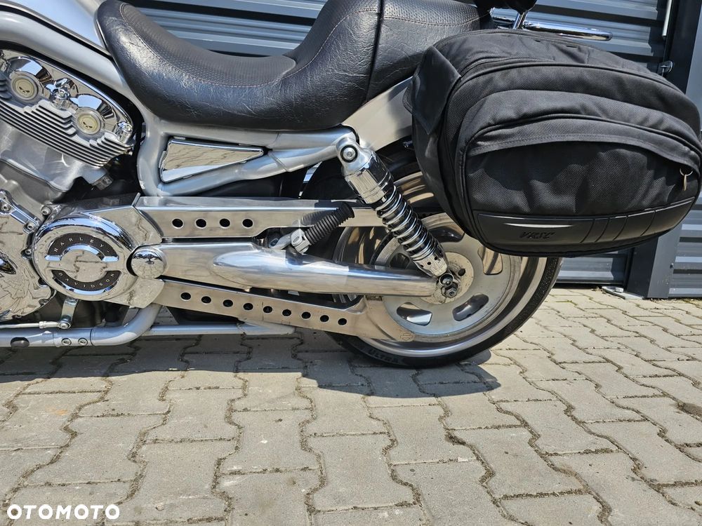 Harley-Davidson V-Rod Street Rod - 6