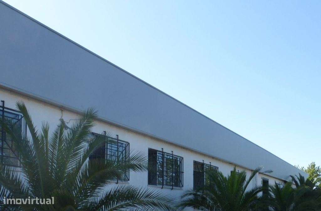 Armazém Industrial 6.000 m2. Portugal, Viseu. - Grande imagem: 2/2