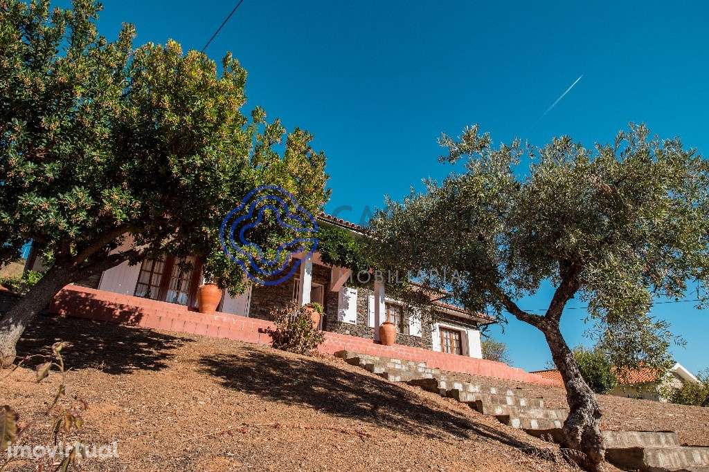 Excelente quinta - Grande imagem: 5/60